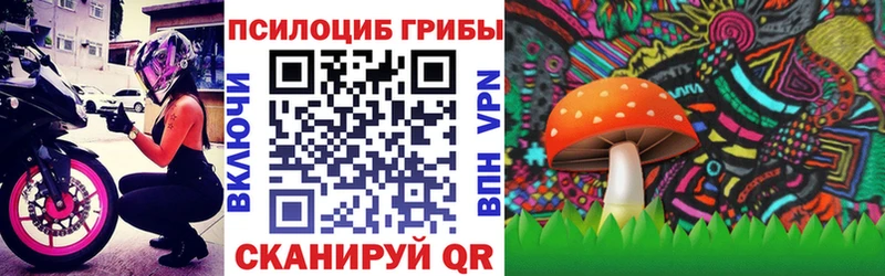 Псилоцибиновые грибы прущие грибы  Купить закладки  Балей 
